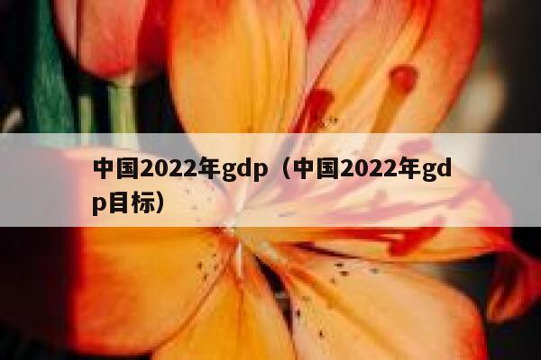 中国2022年gdp（中国2022年gdp目标） 第1张