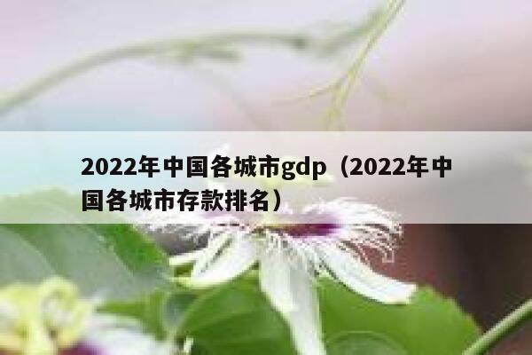 2022年中国各城市gdp（2022年中国各城市存款排名） 第1张