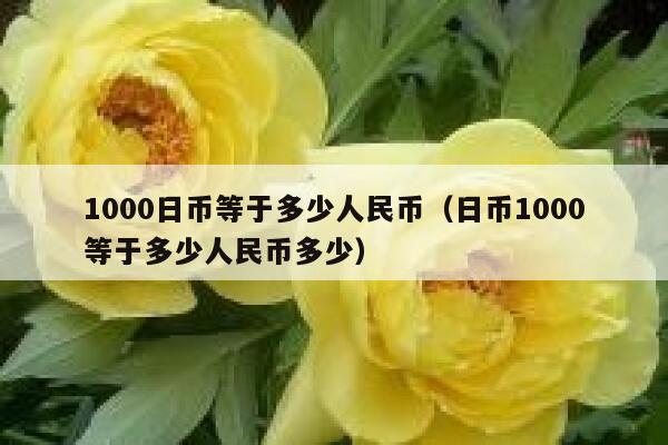 1000日币等于多少人民币（日币1000等于多少人民币多少） 第1张