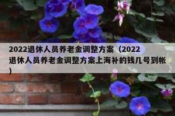 2022退休人员养老金调整方案（2022退休人员养老金调整方案上海补的钱几号到帐） 第1张