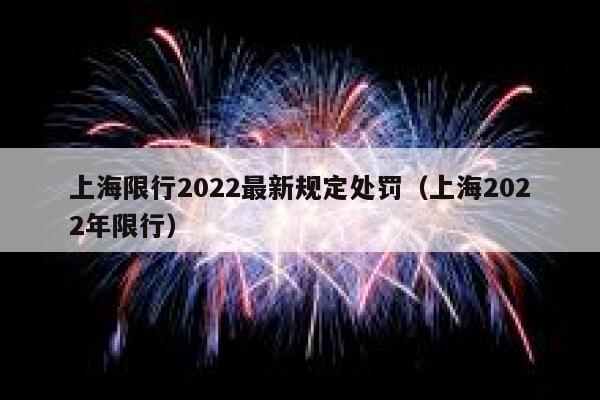 上海限行2022最新规定处罚（上海2022年限行） 第1张