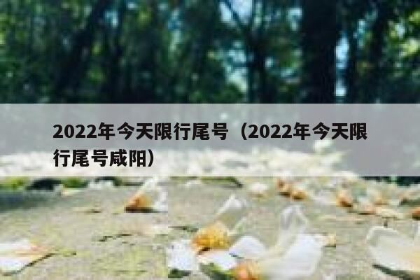 2022年今天限行尾号（2022年今天限行尾号咸阳） 第1张