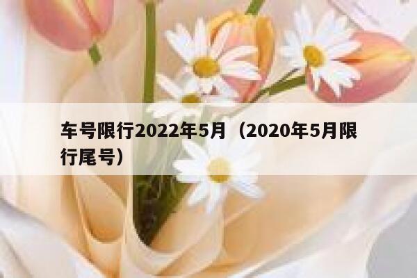 车号限行2022年5月（2020年5月限行尾号） 第1张
