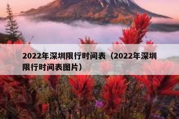 2022年深圳限行时间表（2022年深圳限行时间表图片） 第1张