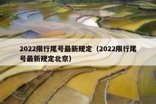 2022限行尾号最新规定（2022限行尾号最新规定北京） 第1张