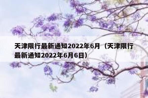 天津限行最新通知2022年6月（天津限行最新通知2022年6月6日） 第1张