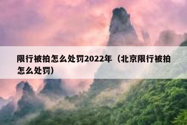 限行被拍怎么处罚2022年（北京限行被拍怎么处罚） 第1张