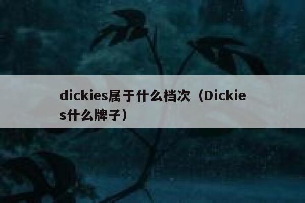 dickies属于什么档次（Dickies什么牌子） 第1张