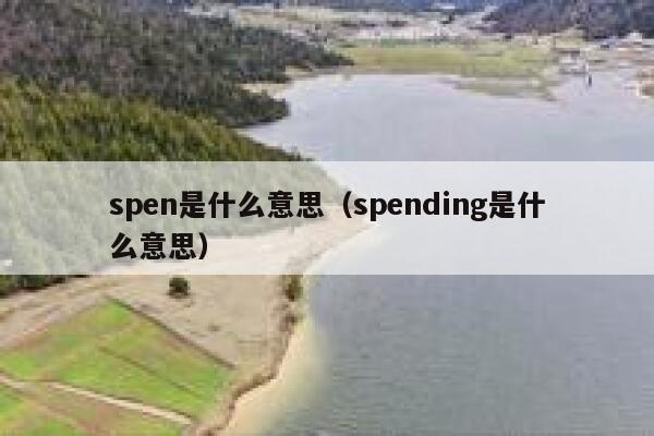 spen是什么意思（spending是什么意思） 第1张