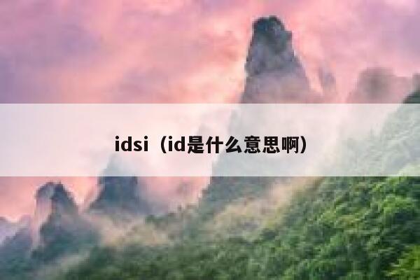 idsi（id是什么意思啊） 第1张