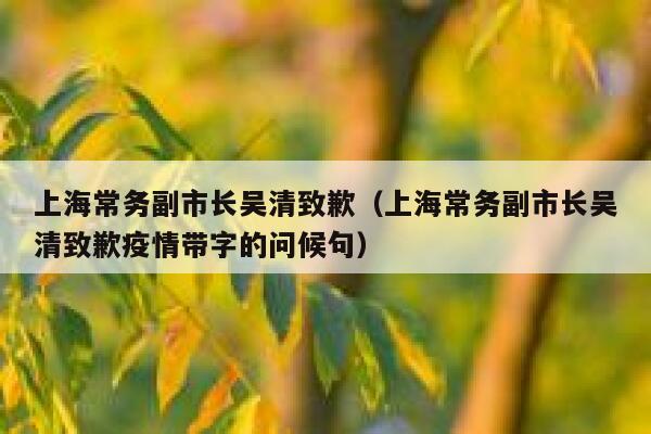 上海常务副市长吴清致歉（上海常务副市长吴清致歉疫情带字的问候句） 第1张