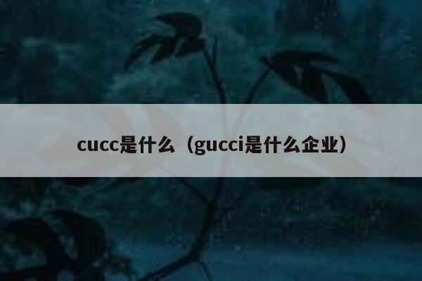 cucc是什么（gucci是什么企业） 第1张